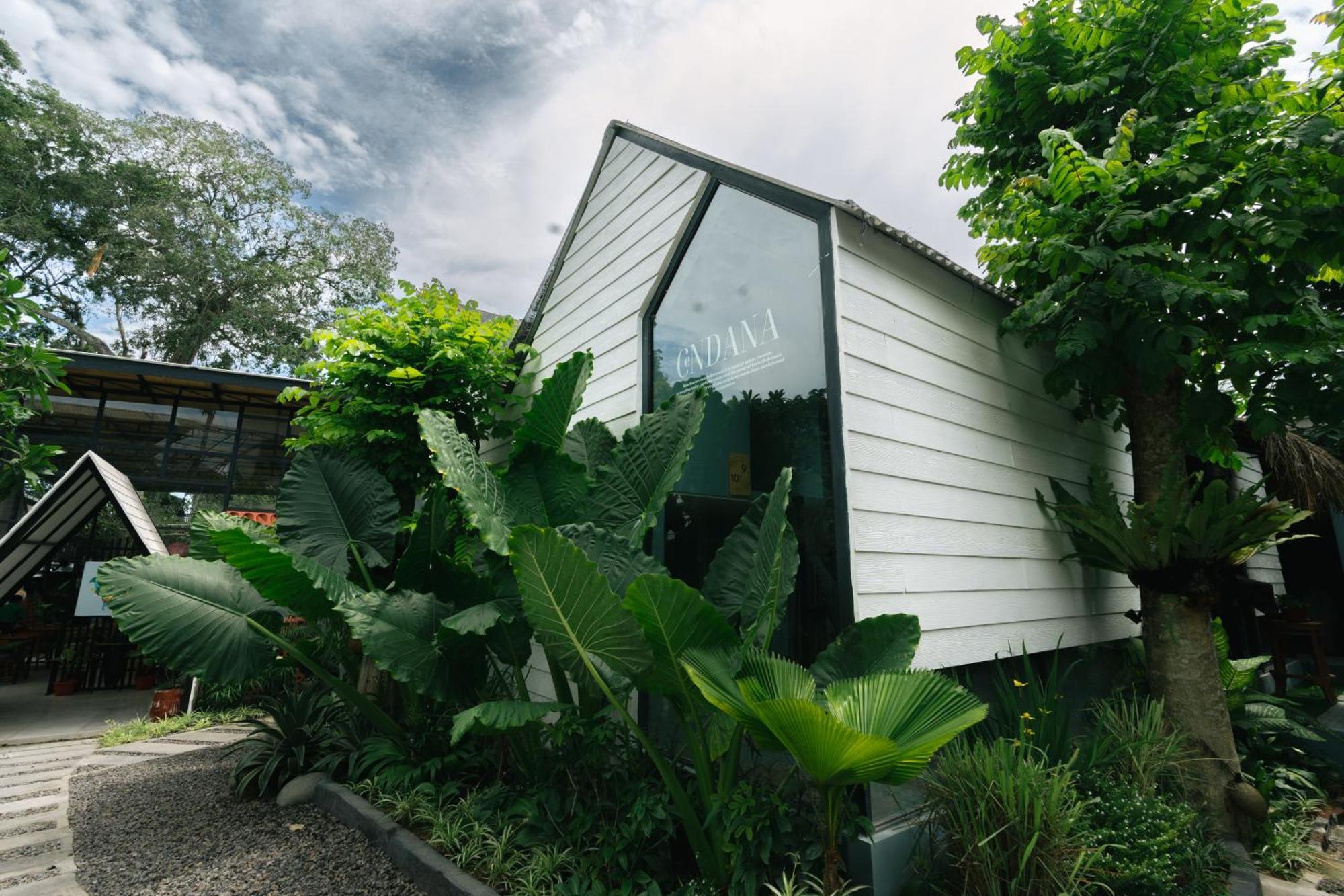 The Jungle Hostel Canggu Exterior foto